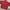 Casual Harrington jacket Pria burgundy red photo 5