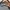 Reebok Vintage Sportswear Hoody Pria gray photo 2