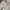 Chanel Vintage Casual Windbreaker Pria white cream photo 4