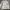 Chanel Vintage Casual Windbreaker Pria white cream photo 2