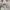Chanel Vintage Casual Windbreaker Pria white cream photo 6