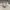 Chanel Vintage Casual Windbreaker Pria white cream photo 3