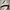 Sportswear Jersey Pria white black photo 3