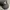 MLB Streetwear Sportswear Hat Pria black photo 2