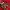 Vintage Y2K Casual shirt Pria red photo 4