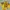 Adidas Streetwear Y2K Jersey Pria yellow red photo 5