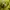 Vivastudio Casual Suit Pria yellow photo 6