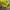 Vivastudio Casual Suit Pria yellow photo 5