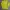 Vivastudio Casual Suit Pria Yellow