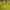 Vivastudio Casual Suit Pria yellow photo 2