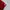 A Bathing Ape Luxury T-shirt Pria red photo 7