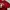 A Bathing Ape Luxury T-shirt Pria red photo 1