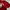 A Bathing Ape Luxury T-shirt Pria Red
