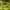 thisisneverthat Casual Hoody Pria yellow photo 2