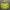 thisisneverthat Casual Hoody Pria yellow photo 3