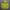 thisisneverthat Casual Hoody Pria yellow photo 1
