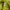 thisisneverthat Casual Hoody Pria yellow photo 5
