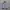 Polo Ralph Lauren Vintage Y2K Track jacket Pria white black photo 1