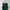 Fairy Futurist Crop Top Wanita Multicolor Green