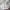 Japanese brand Vintage Casual Bag Pria white cream photo 1