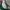Japanese brand Vintage Streetwear Hat Pria green photo 3
