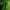 Polo Ralph Lauren Streetwear Casual Polo shirt Pria green photo 3