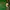 Polo Ralph Lauren Streetwear Casual Polo shirt Pria green photo 2