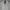 Adidas Sportswear Casual Track jacket Pria white pink photo 1