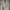 Adidas Sportswear Casual Track jacket Pria white pink photo 2