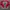 Dickies Casual Sweater Pria red gray photo 1