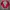 Dickies Casual Sweater Pria red gray photo 5