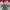 Dickies Casual Sweater Pria red gray photo 2