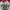 Dickies Casual Sweater Pria Red Gray