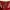 H&M Vintage Dungaree Wanita Burgundy