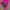 NEPA Casual Wanita pink brown photo 1