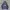 GAP Futurist Hoody Pria navy photo 1