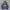 GAP Futurist Hoody Pria Navy