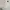 ZARA Y2K Maxi skirt Wanita white photo 2