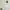 ZARA Y2K Maxi skirt Wanita white photo 3