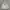GAP Futurist Hoody Pria gray photo 1