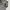 Vintage Suit Pria white gray photo 1