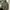 Streetwear Casual Parka Pria multicolor photo 1