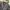 Airwalk Streetwear Casual Windbreaker Pria gray photo 2