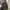 Airwalk Streetwear Casual Windbreaker Pria gray photo 1