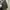 Airwalk Streetwear Casual Windbreaker Pria gray photo 7