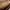 Louis Vuitton Luxury Clutch Wanita brown photo 3