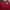 Teenie Weenie Vintage Polo shirt Pria red photo 1