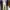 Jungle Storm Streetwear Casual Casual pants Pria cream photo 4
