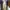 Jungle Storm Streetwear Casual Casual pants Pria cream photo 1