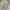 Jungle Storm Streetwear Casual Casual pants Pria cream photo 6